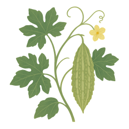 Bitter Melon