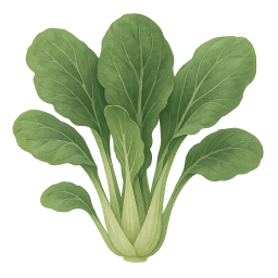 Bok Choy