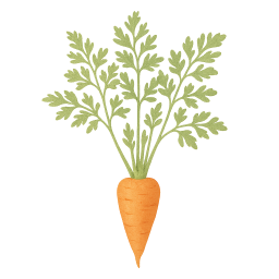 Carrot