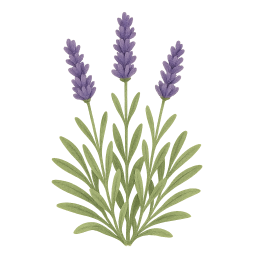 Lavender