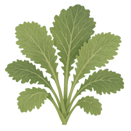 Mustard Greens