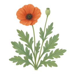 Poppy